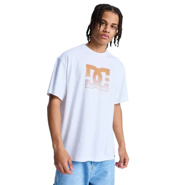 MEN’S DC STAR OXIDIZED HERITAGE SHORT SLEEVE TEES